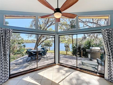 1617 LAKE NETTIE COURT EUSTIS FL 32726