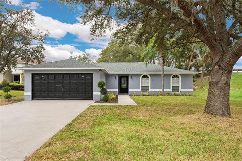 A home in TAMPA