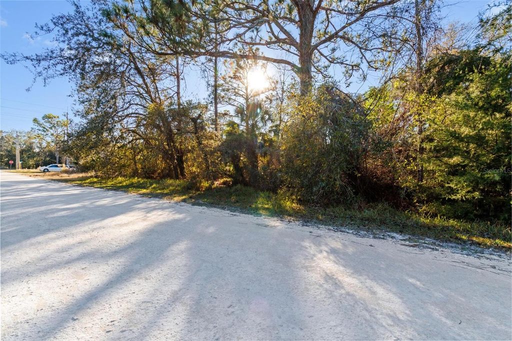 Photo of 11079 Hemlock Warbler Road, Weeki Wachee, FL 34614 (MLS # TB8456424)