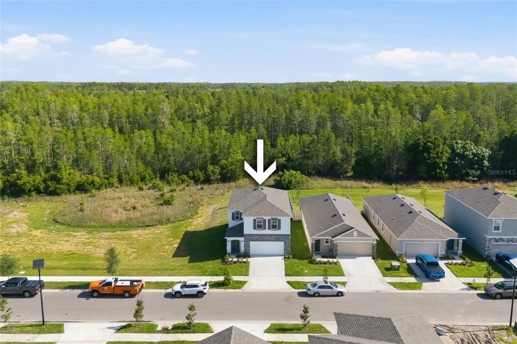 Photo of 17786 Acorn Drop Road, Land O Lakes, FL 34638 (MLS # S5149183)