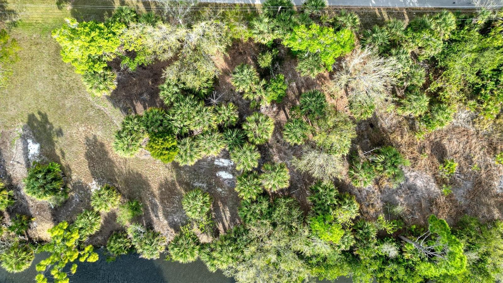 CHARLOTTE PARK - Land