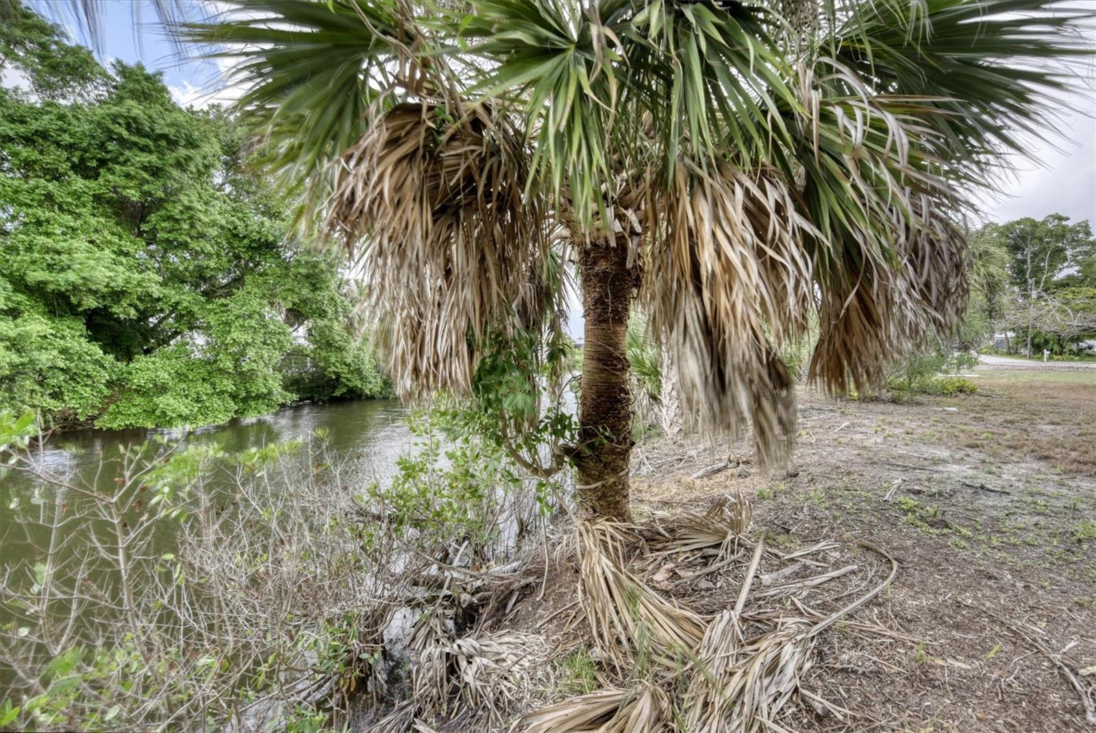 CHARLOTTE PARK - Land