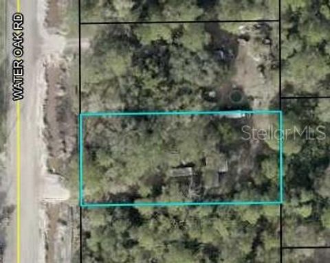 Photo of 3151 Water Oak Road, Bunnell, FL 32110 (MLS # FC312691)
