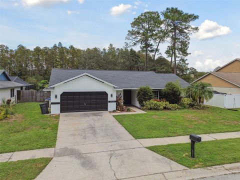 A home in TAMPA