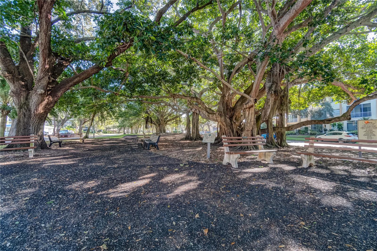 MYRTLE TRACE AT PLAN - Residential