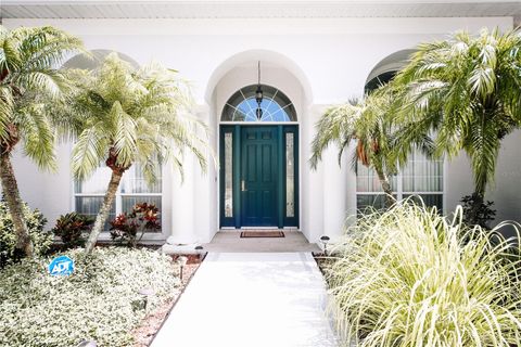 A home in MOUNT DORA