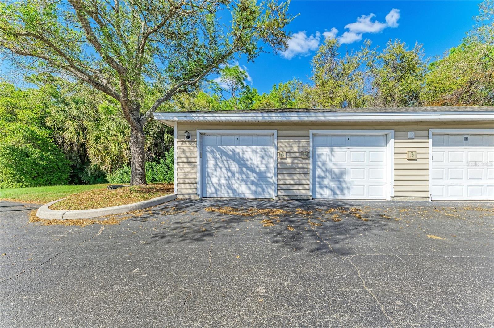 THE VILLAGE AT TOWNPARK - Residential