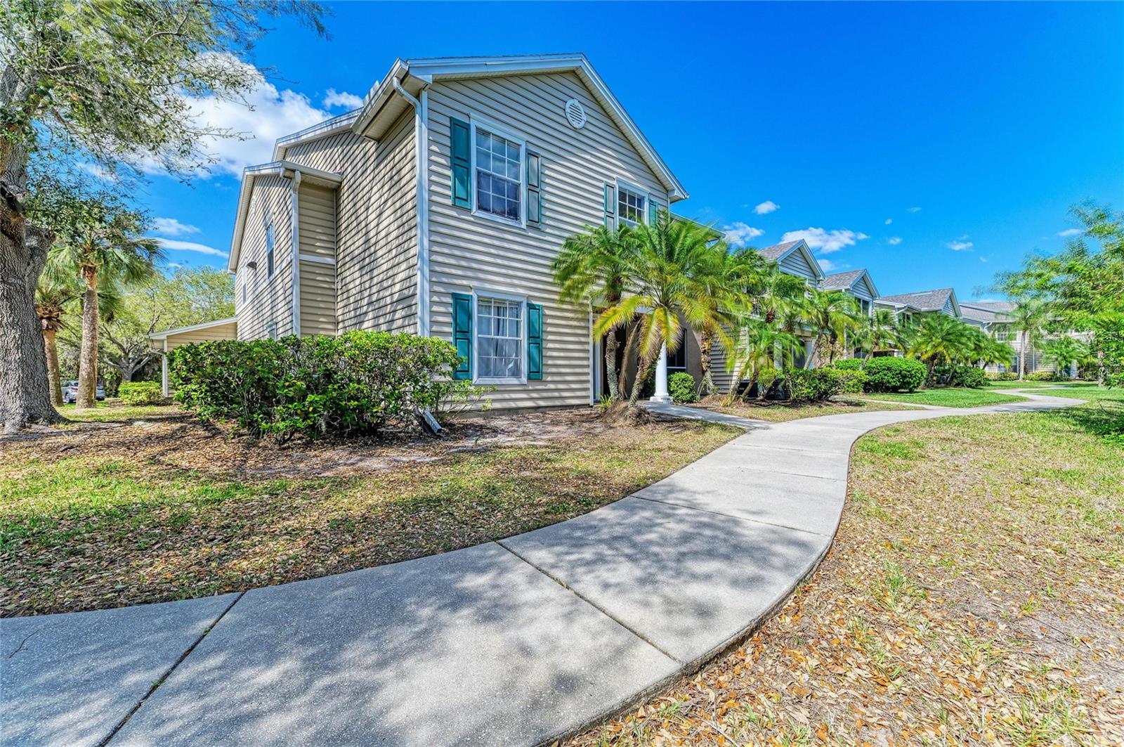 THE VILLAGE AT TOWNPARK - Residential