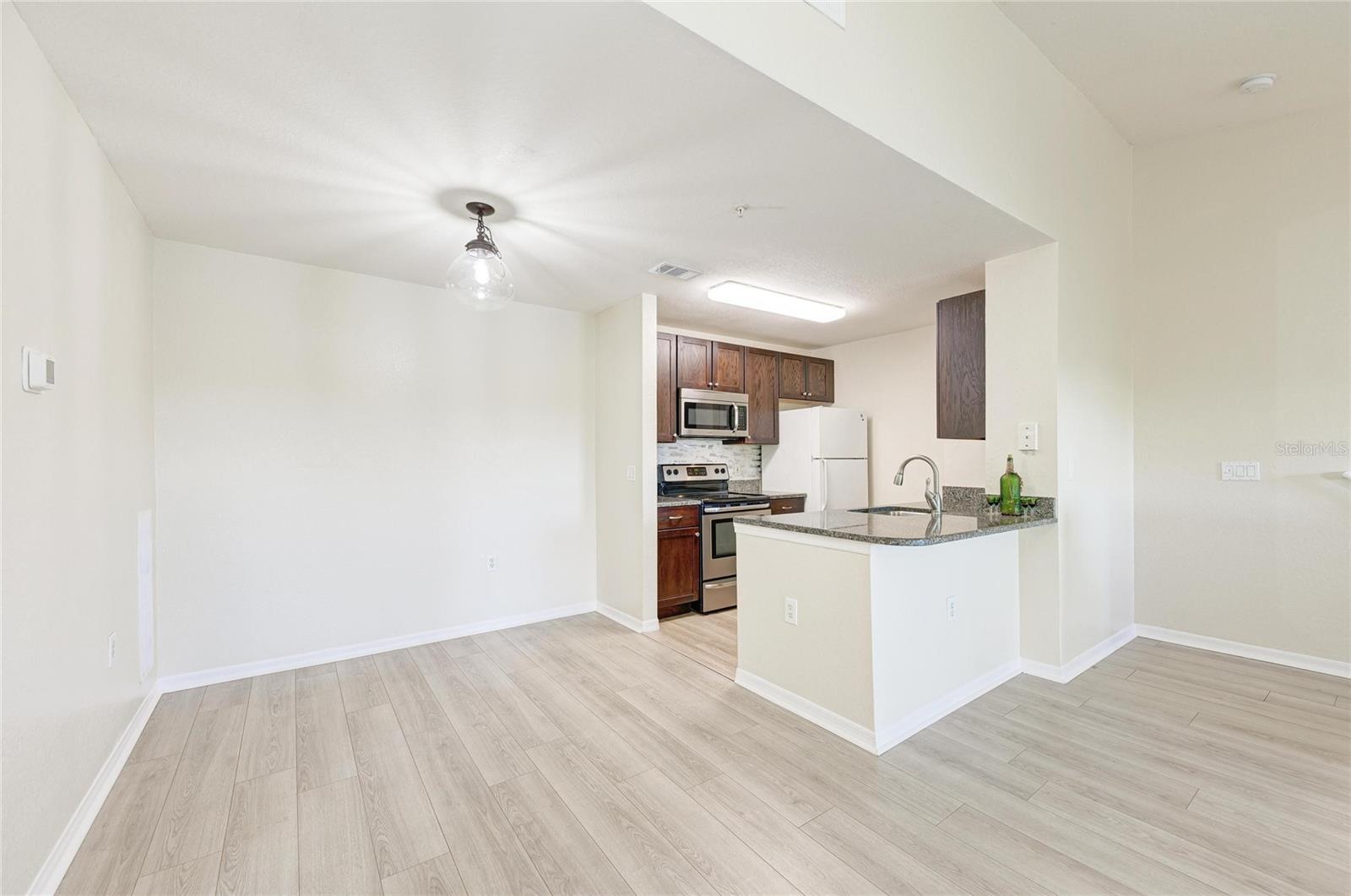 THE VILLAGE AT TOWNPARK - Residential