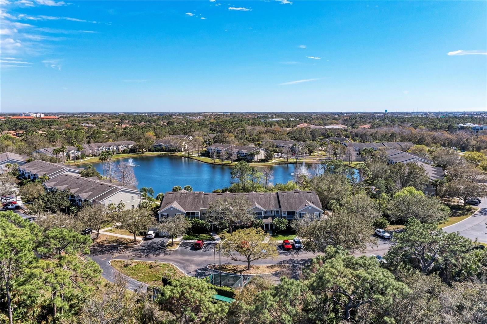 THE VILLAGE AT TOWNPARK - Residential