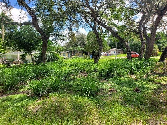 Photo of 1922 Virginia Avenue, Tarpon Springs, FL 34689 (MLS # W7888399)