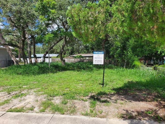 Photo of 1922 Virginia Avenue, Tarpon Springs, FL 34689 (MLS # W7888399)