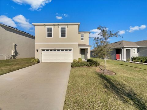 3013 TANSY STREET TAVARES FL 32778