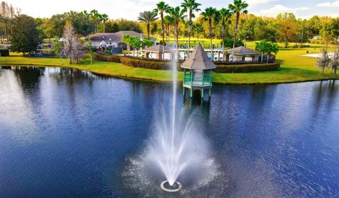 A home in LAND O LAKES