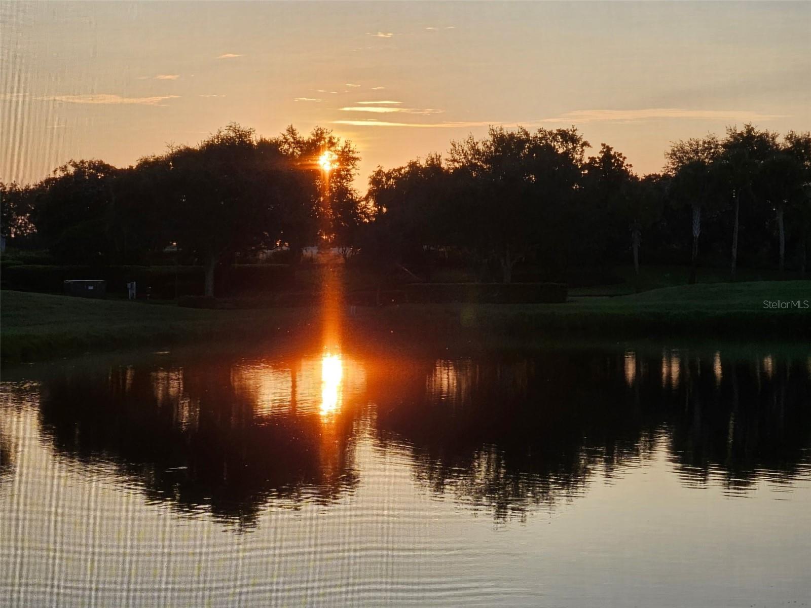 COACH HOMES I AT TIDEWATER PRSV PH VII - Residential