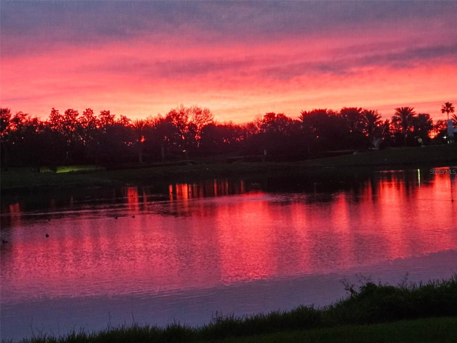 COACH HOMES I AT TIDEWATER PRSV PH VII - Residential