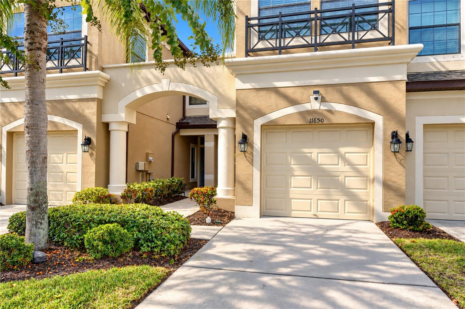 11650 CROWNED SPARROW LANE