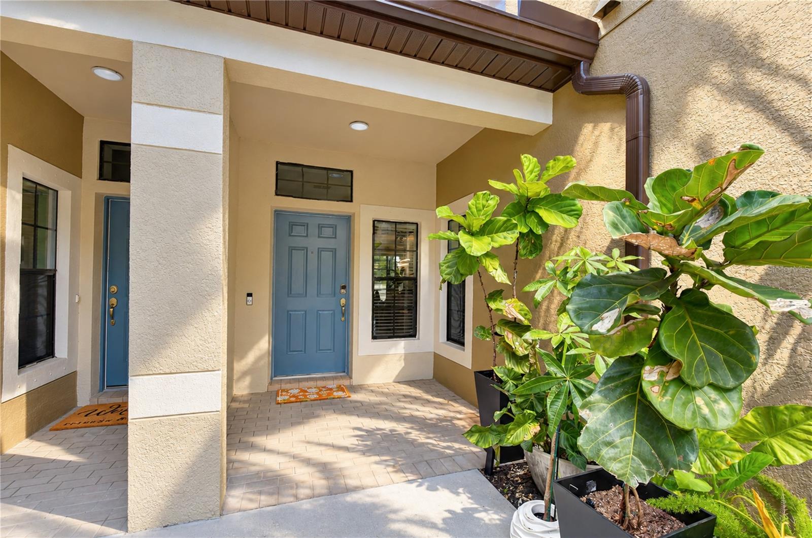 11650 CROWNED SPARROW LANE