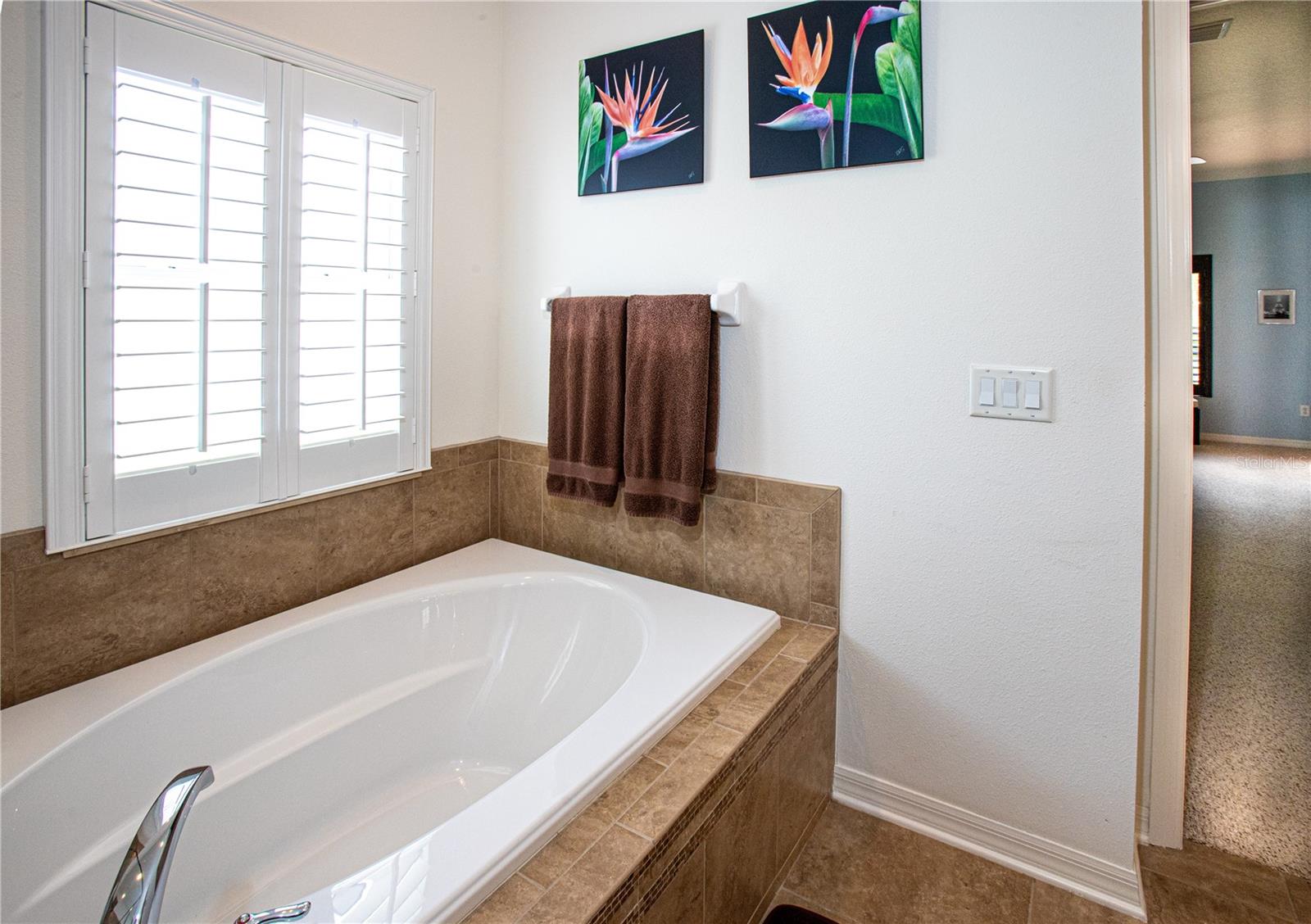 WATERS EDGE THREE - Residential