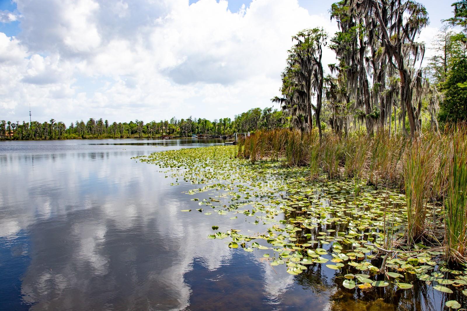WATERS EDGE THREE - Residential