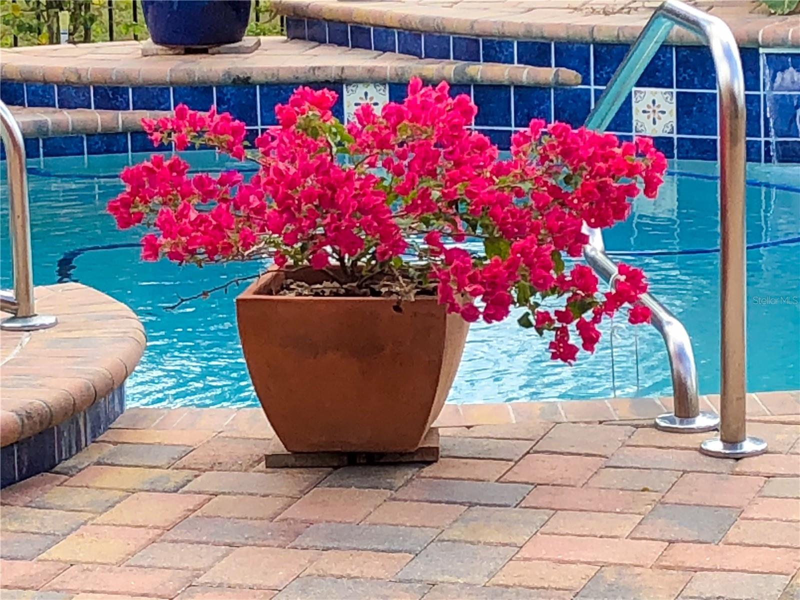 WATERS EDGE THREE - Residential