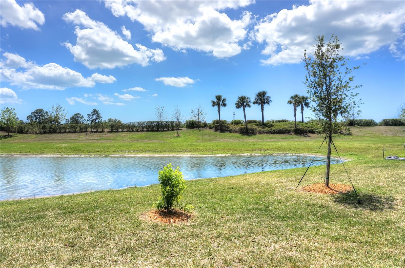 SARASOTA NATIONAL PH 13-B - Residential