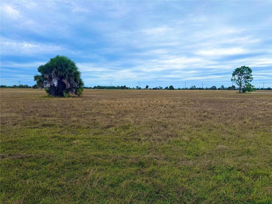 MOST AFFORDABLE LOT LISTED ON WREN DRIVE...Ready to build your slice of paradise?  This spacious vacant lot at 106 Wren Dr in the beautiful and fast-growing community of Rotonda Meadows is the perfect canvas for your Florida dream home or next smart investment. Picture mornings filled with sunshine, warm coastal breezes, birds chirping and the peaceful serenity that makes this area so sought after.  Just minutes from Boca Grande, you’ll have immediate access to world-class fishing, pristine Gulf beaches, breathtaking sunsets, charming coastal towns, top-tier golf courses, and endless outdoor adventures. It’s a community that feels tucked away and tranquil...yet still close to everything that defines the Southwest Florida lifestyle.  With public water and sewer already available, building becomes easier and more cost-effective—no well or septic required. Whether you’re ready to break ground now or simply want to secure land in a thriving, up-and-coming area, this property offers an affordable entry into one of the region’s true hidden gems.  Paradise is calling… will you answer?