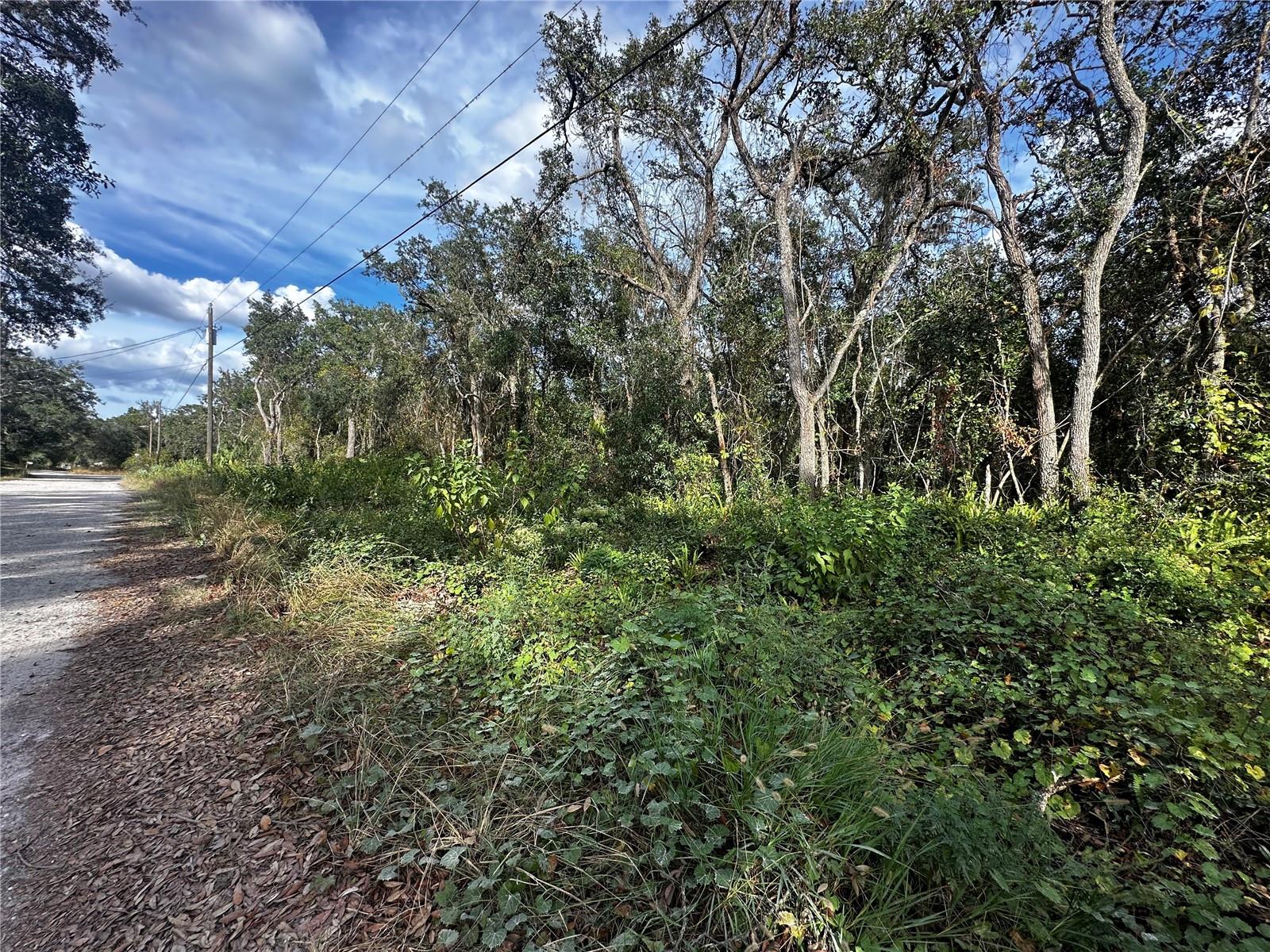 This spacious, flat .71 acre lot offers endless possibilities for building your dream home. Situated on a peaceful dead end street this lot provides privacy and convenience .