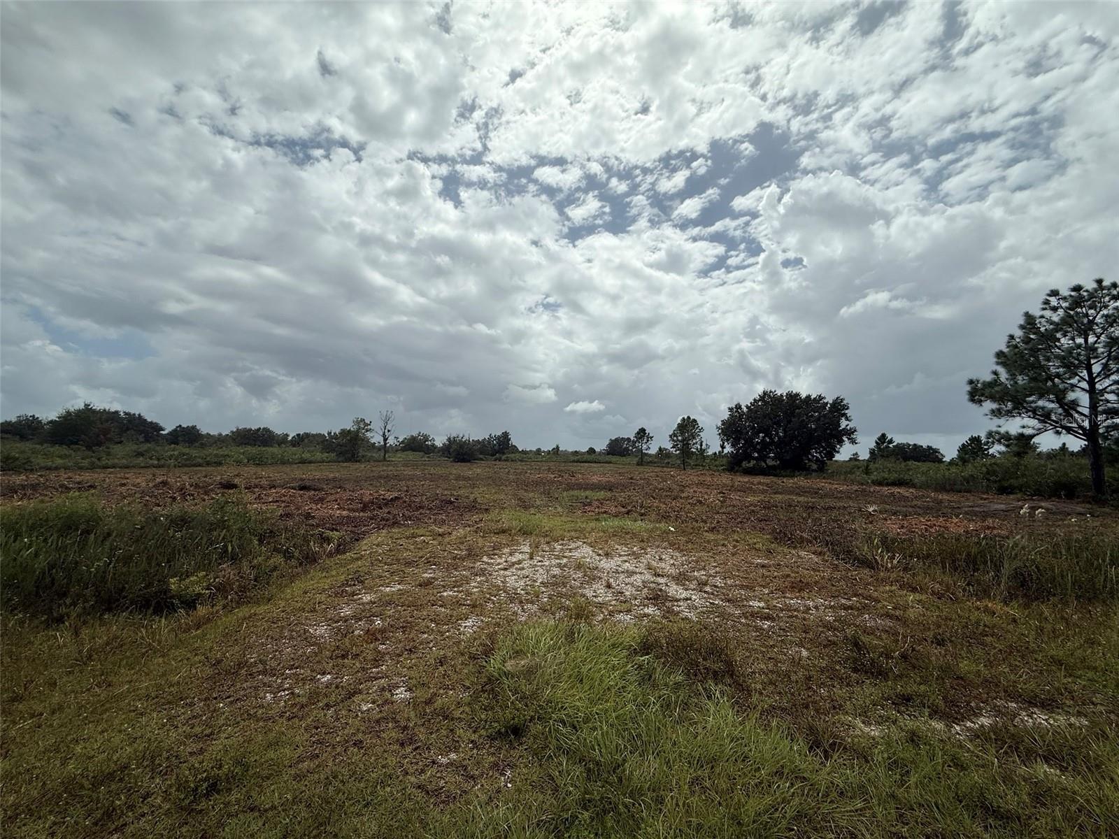 SOUTHERN COLONIZATION CO - Land