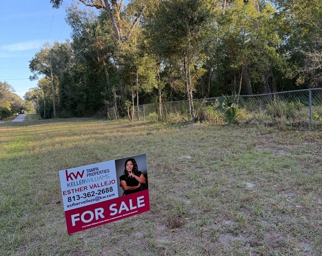 Photo of 16280 Palacky Street, Brooksville, FL 34604 (MLS # TB8457984)