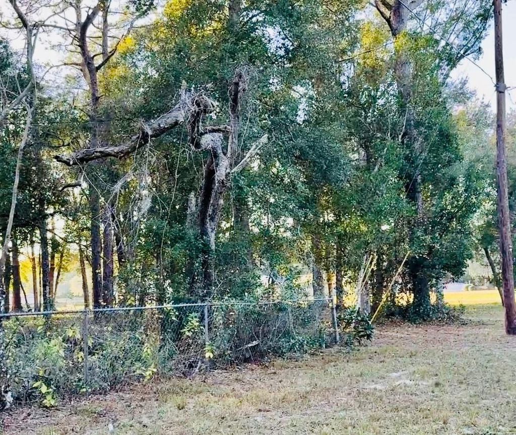 Photo of 16280 Palacky Street, Brooksville, FL 34604 (MLS # TB8457984)