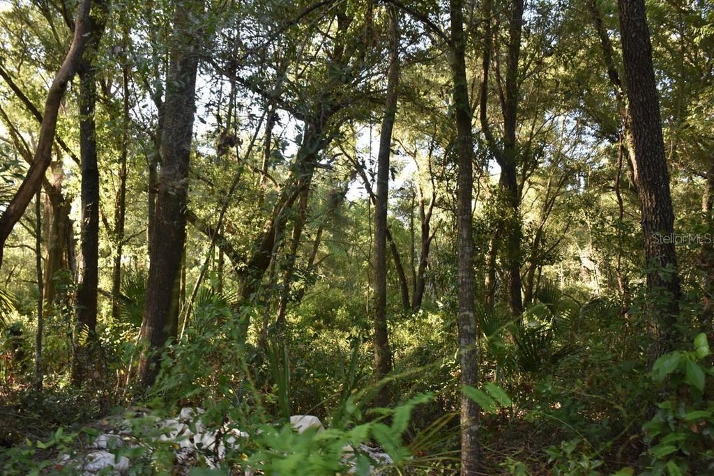 Photo of 6320 N Orange Blossom Trail, Mount Dora, FL 32757 (MLS # G5119143)