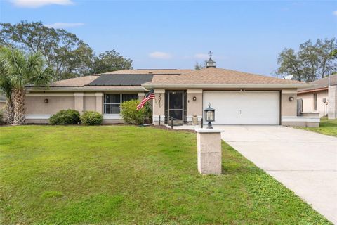 A home in SPRING HILL