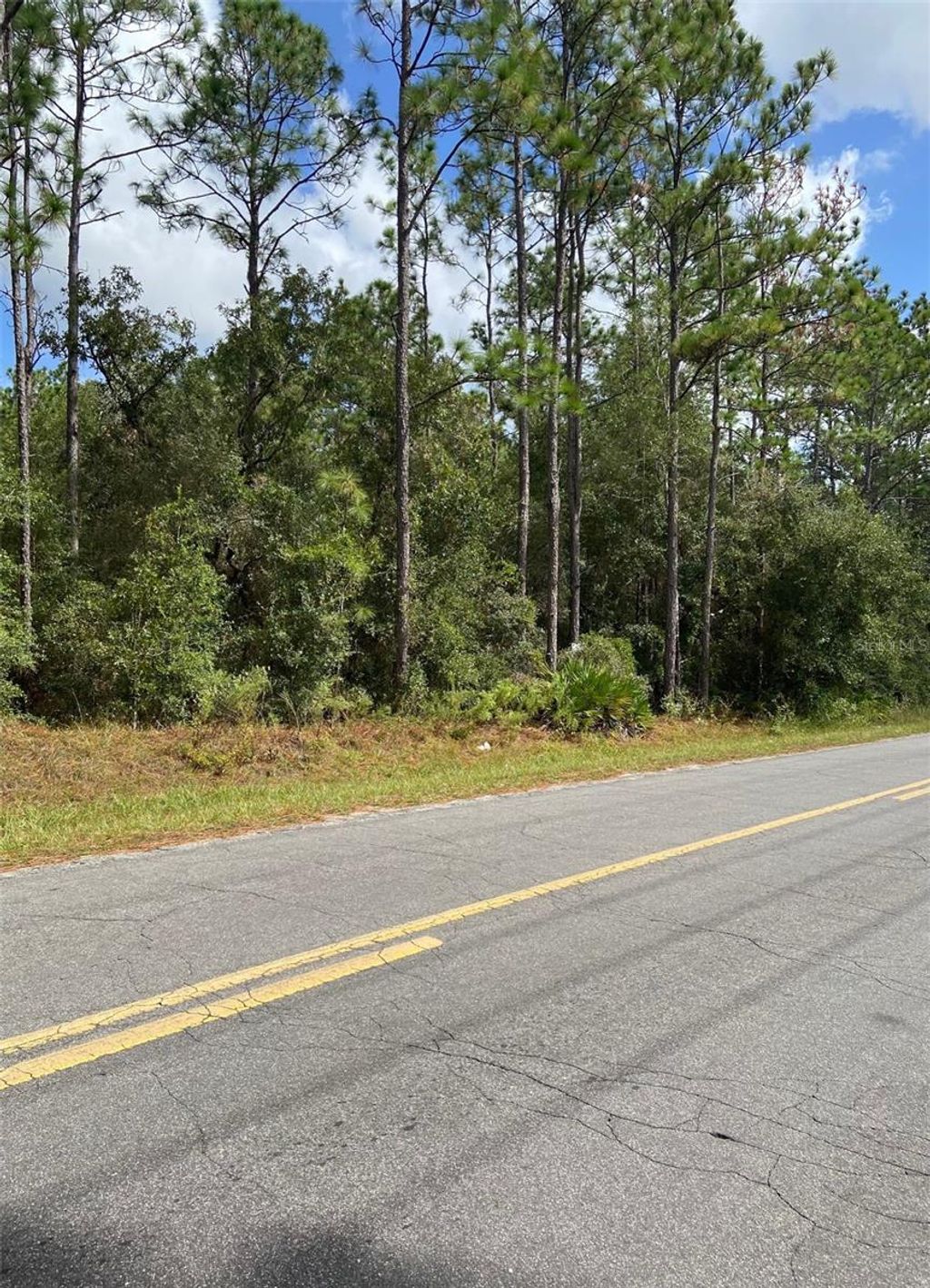 Photo of SW 155 Street SW, Dunnellon, FL 34432 (MLS # TB8435167)