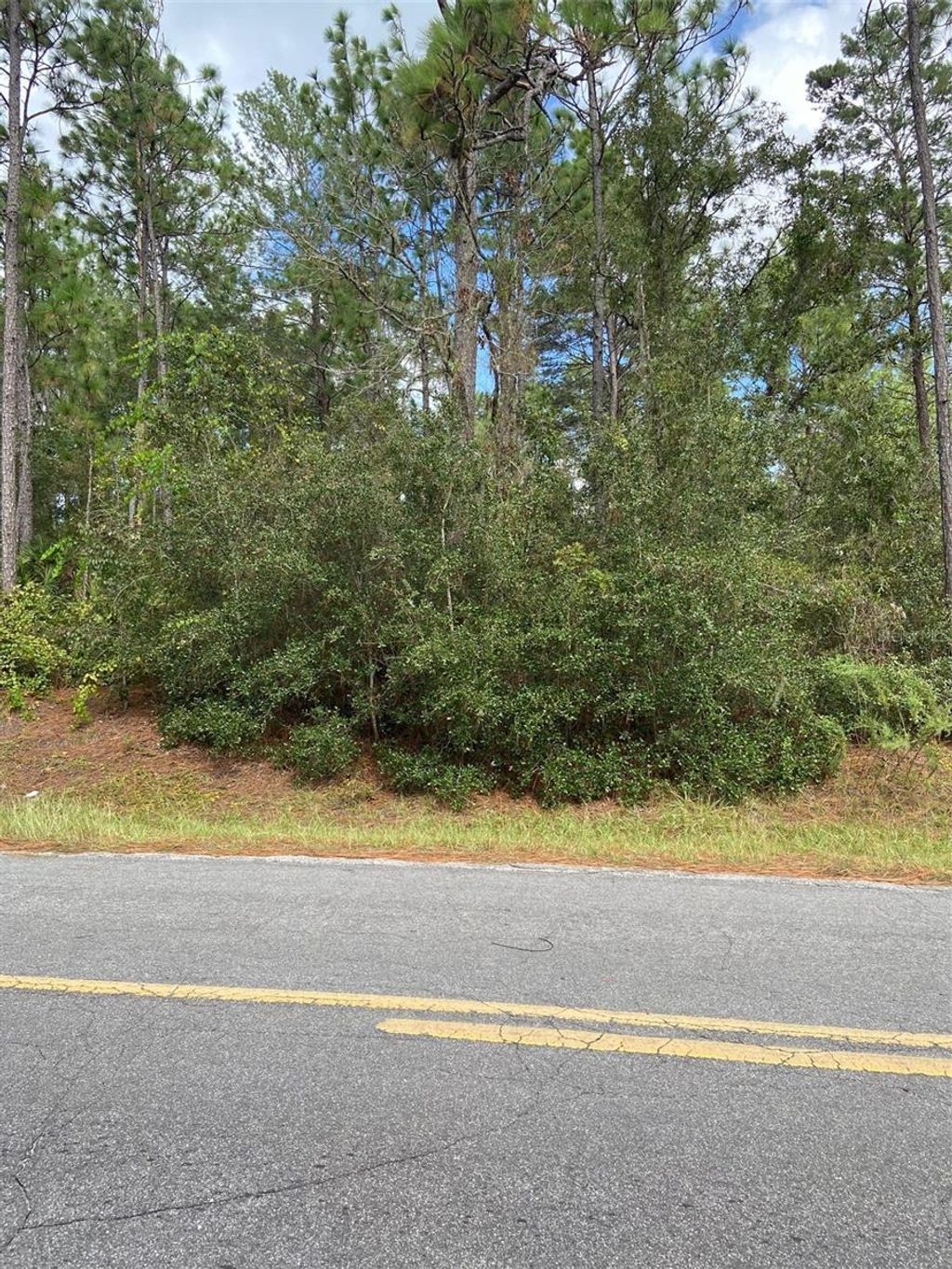 Photo of SW 155 Street SW, Dunnellon, FL 34432 (MLS # TB8435167)