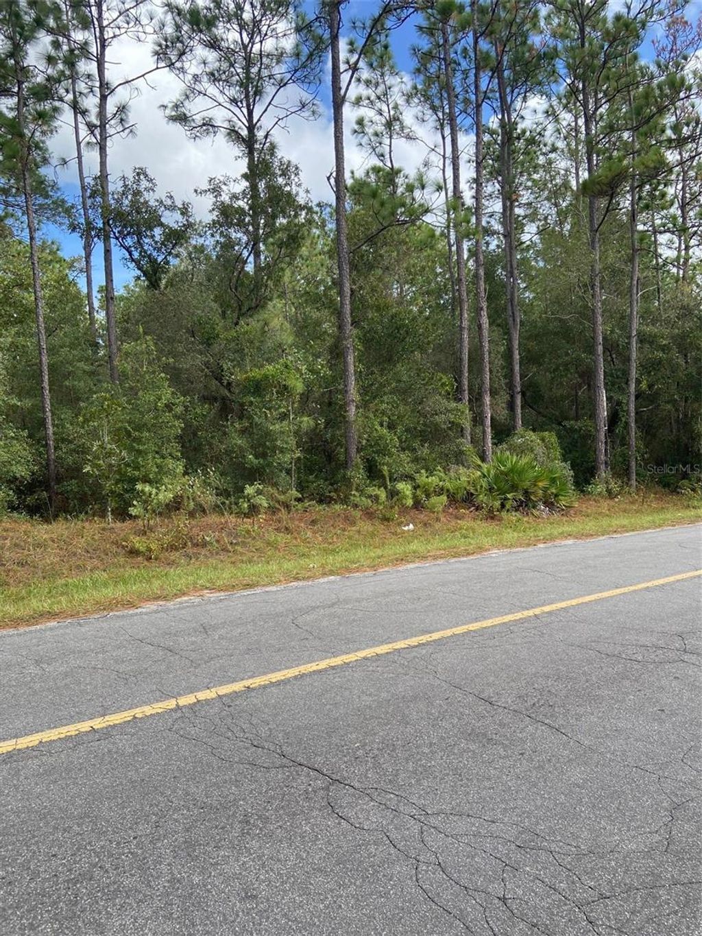 Photo of SW 155 Street SW, Dunnellon, FL 34432 (MLS # TB8435167)