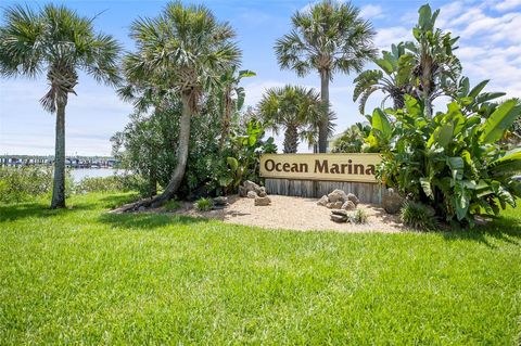 A home in FLAGLER BEACH