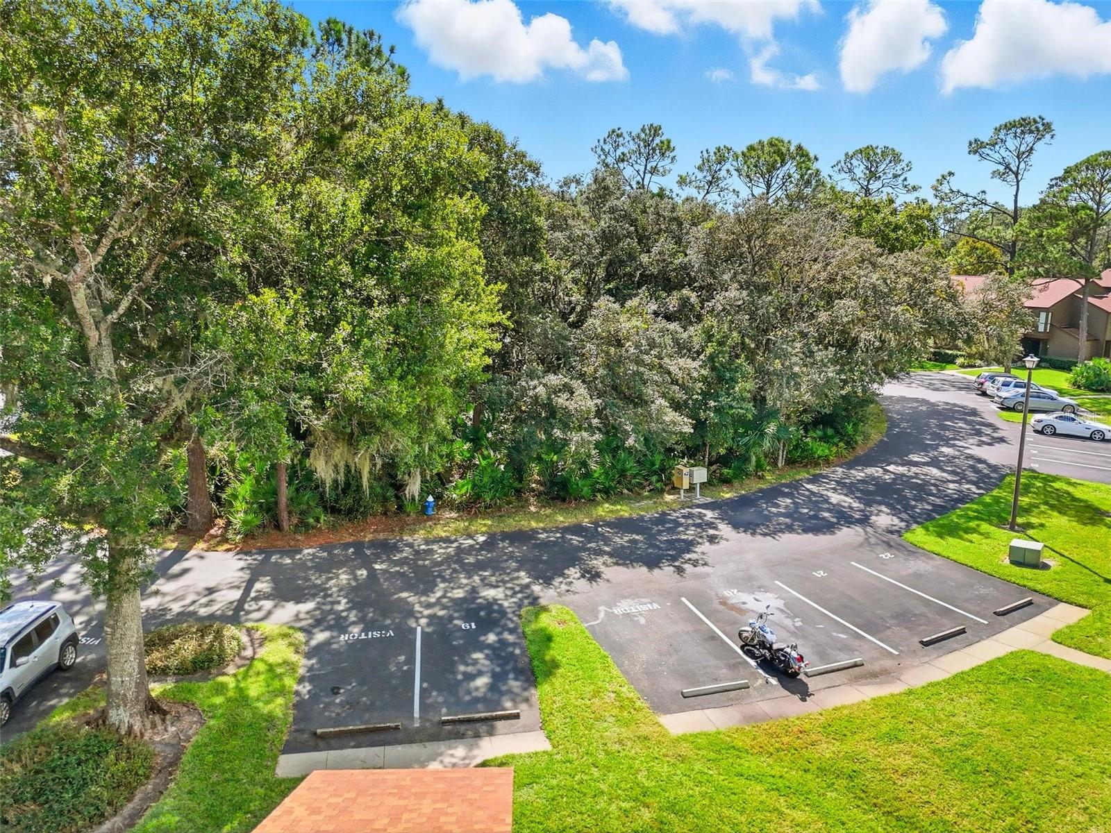 WOODHAVEN AT PALM COAST - Residential