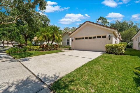 A home in TAMPA