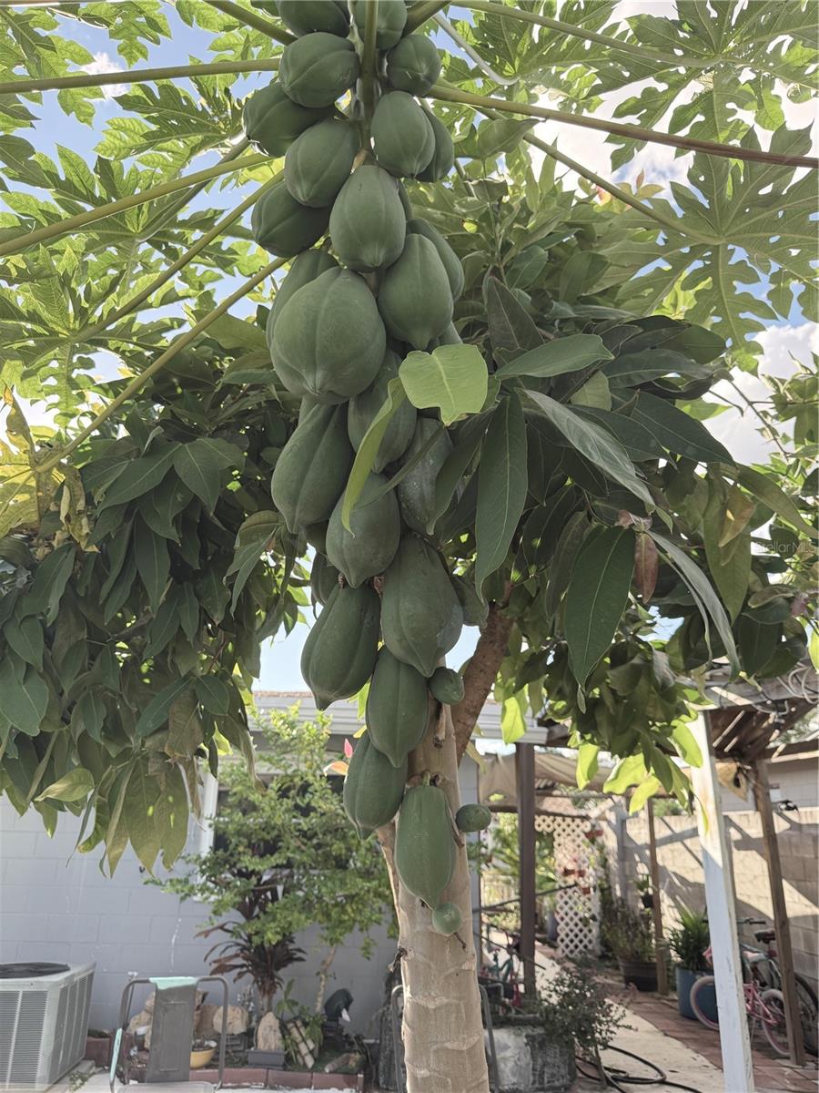 SKY LAKE OAK RIDGE SEC - Residential