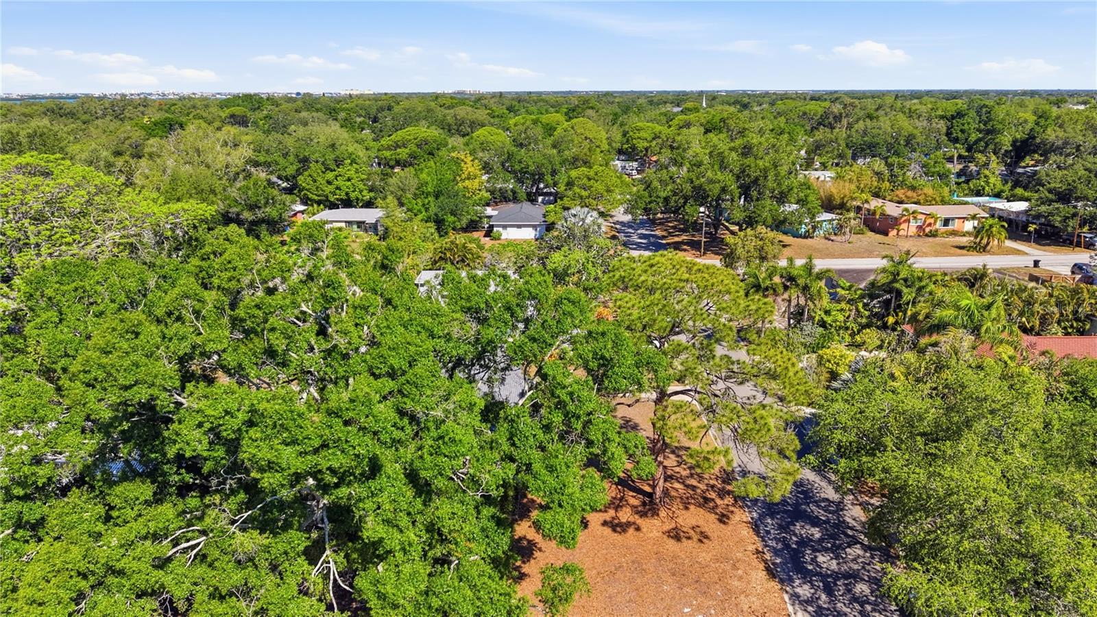 JUNGLE COUNTRY CLUB 4TH ADD - Residential