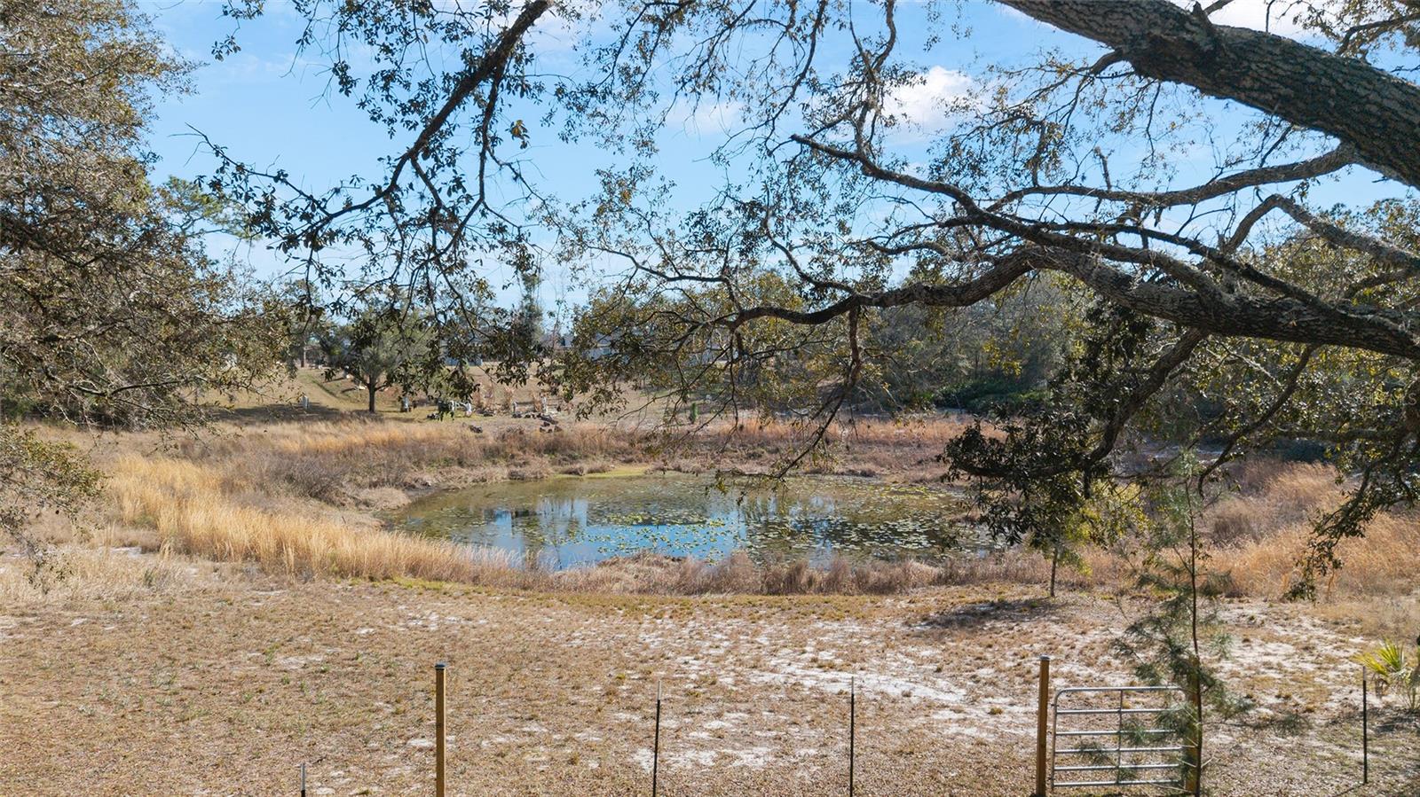 SILVER SPGS SHORES UN 31 - Residential