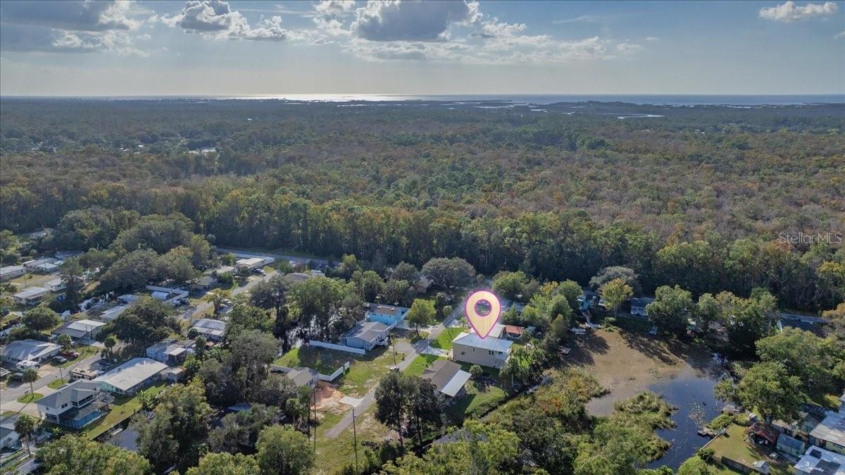 WEEKI WACHEE RIVER ESTATE - Residential