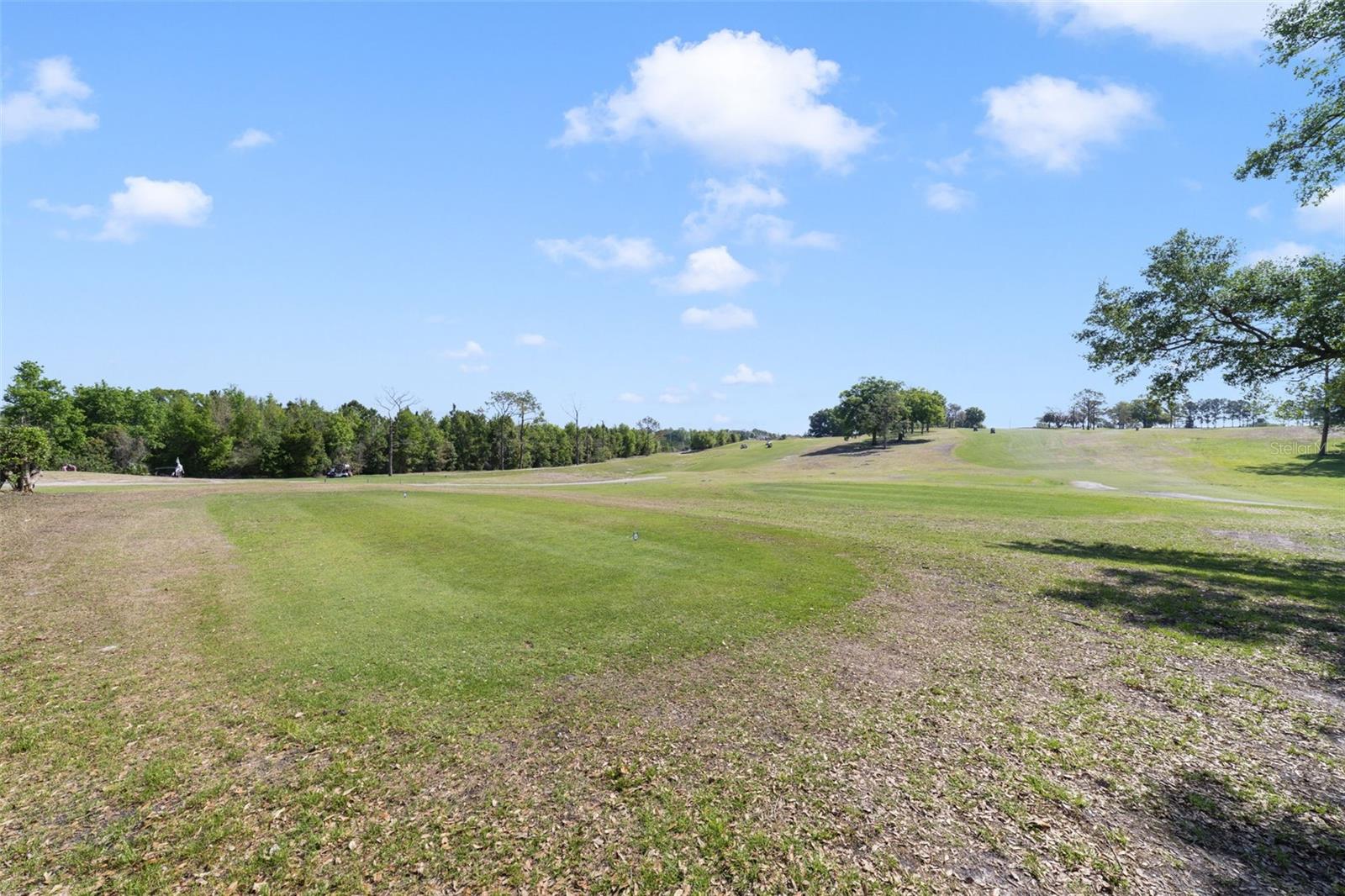 ZELLWOOD STATION COOP MH PARK - Residential