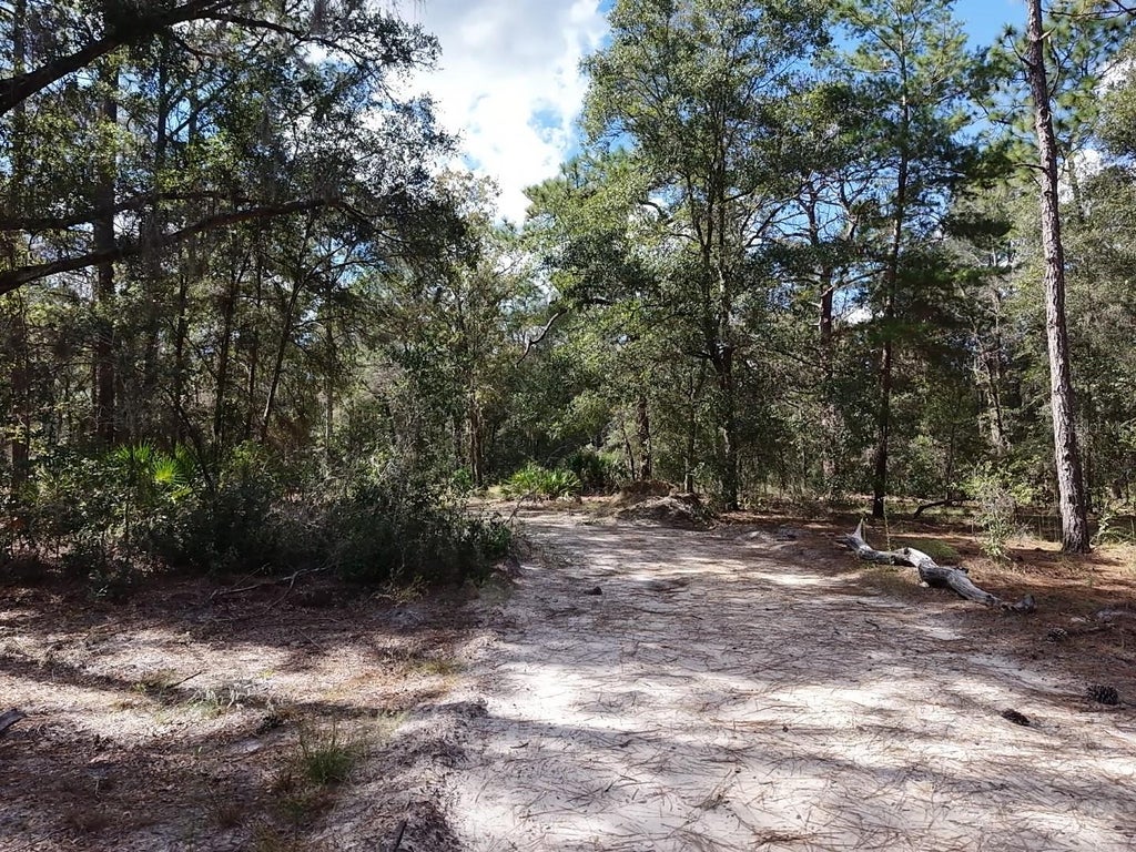 Photo of 7416 N Nathan Point, Crystal River, FL 34428 (MLS # TB8559058)
