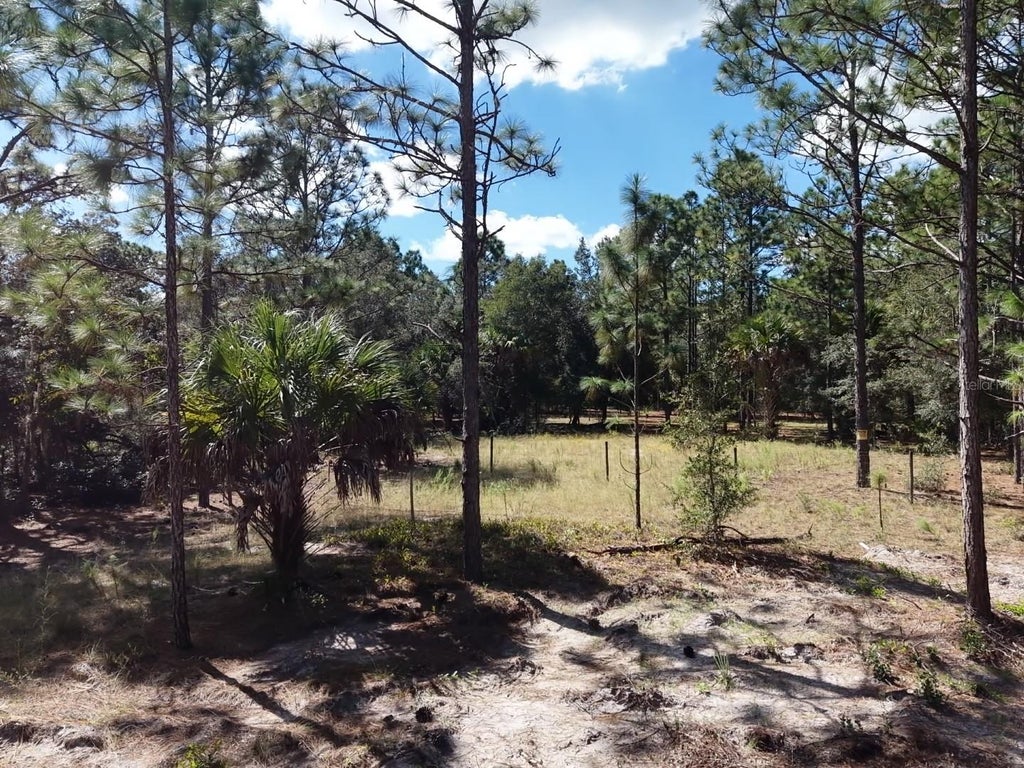 Photo of 7416 N Nathan Point, Crystal River, FL 34428 (MLS # TB8559058)