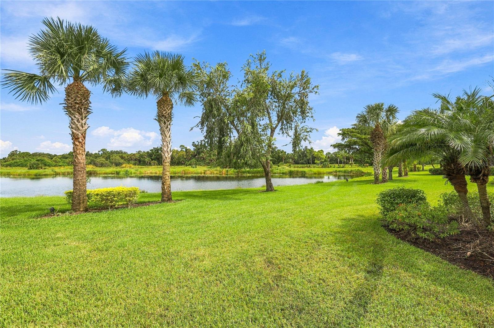Search Properties for Sale 3 11170 SANDHILL PRESERVE DRIVE