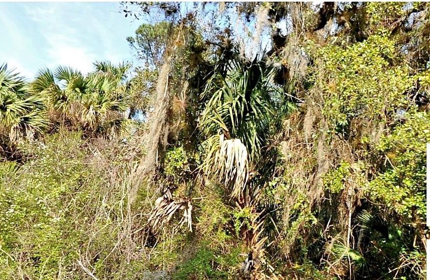 DOUBLE Residential Lots located in a quiet neighborhood of North Port. This fast growing and young city is one of the most popular locations to live. NOT IN A FLOOD ZONE, NO HOA OR CDD. 
Bring your boats, RVS,etc. Excellent location, serene neighborhood and just minutes from I-75 & Tamiami Trail.  Close to Florida’s finest beaches, golfing, public boat ramps, marinas, shopping, malls, Atlanta Braves Spring Training Stadium, Wellen Park, Tampa Bay Rays Spring Training Stadium, Historic Riverfront Downtown Punta Gorda & Fishermen’s Village. Situated between 4 airports:  Fort Myers, Punta Gorda, Sarasota and Tampa!! A travelers dream.