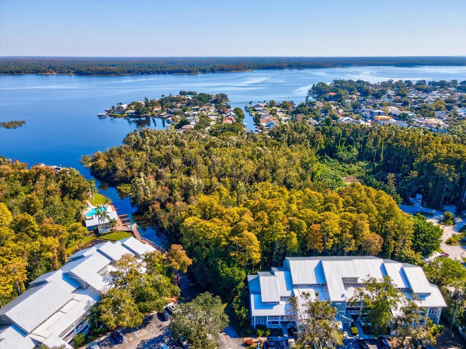 DOLLY BAY A VILLAGE ON LAKE TARPON - Residential Lease