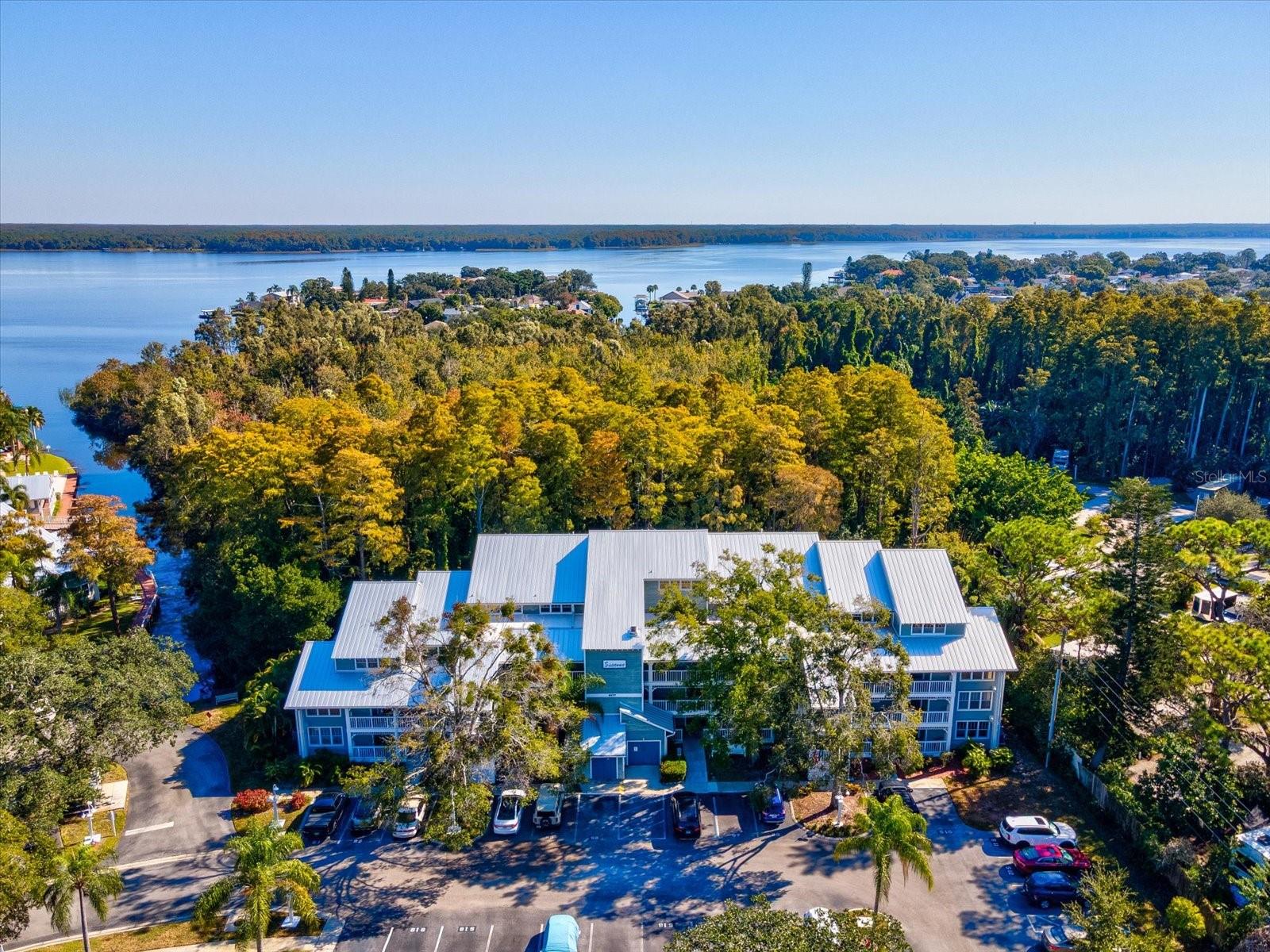 DOLLY BAY A VILLAGE ON LAKE TARPON - Residential Lease